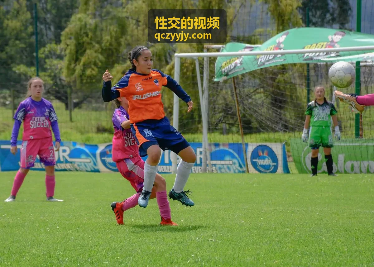 剧情向完整版性交的视频